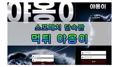 먹튀 야옹이