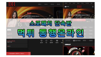 먹튀 동행온라인