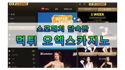 먹튀 오엑스카지노